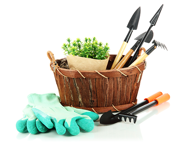 Home & Garden